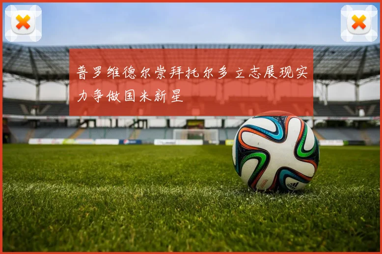 普罗维德尔崇拜托尔多立志展现实力争做国米新星