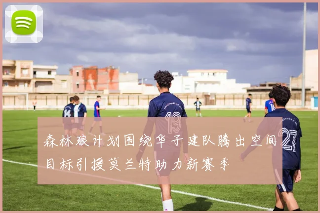 森林狼计划围绕华子建队腾出空间目标引援莫兰特助力新赛季